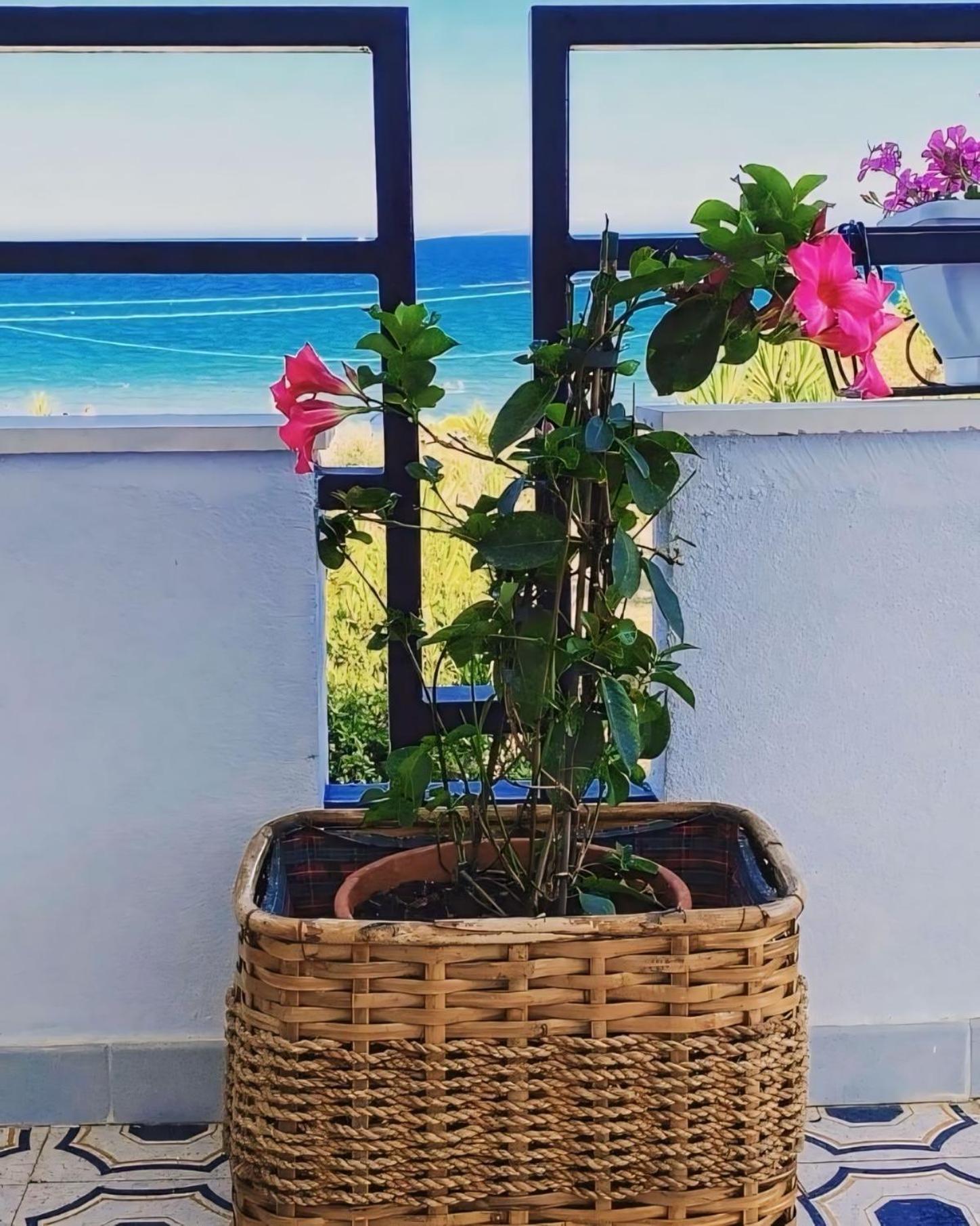 Vila Il Mare Di Ciccio Avola Exteriér fotografie
